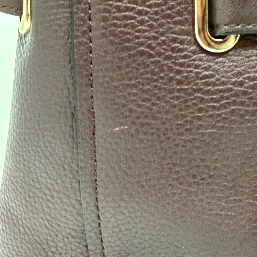Coach Swagger Carry All Bag in Oxblood Leather - Picture 12 of 15
